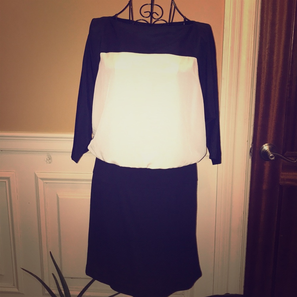 Loft Navy Blue And White Dress
